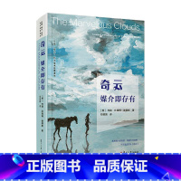 [正版]奇云:媒介即存有:toward a philosophy of elemental media 书约翰·杜海姆