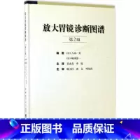 [正版]放大胃镜诊断图谱 第2版 胃内不同疾病疾病诊断与治疗技术书籍 放大胃镜的操作规范要点 早期胃癌诊断标准 临床医