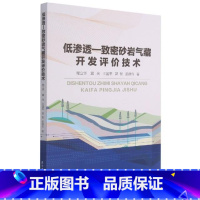 [正版]低渗透—致密砂岩气藏开发评价技术程立华低渗透油气藏砂岩油气田气田开发普通大众书自然科学书籍