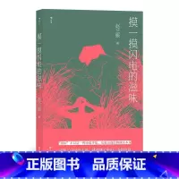 [正版]摸一摸闪电的滋味赵兰振中篇小说小说集中国当代短篇小说普通大众书小说书籍