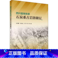 [正版]四川盆地东部石炭系古岩溶储层文华国 书自然科学书籍