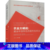 [正版]农业大崛起--建设中国的现代化农业/乡村振兴背景下三农问题研究丛书周双文农业现代化研究中国普通大众书经济书籍