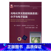 [正版]光电化学太阳能转换系统:分子与电子层面安德烈斯穆尼奥斯太阳能电池普通大众书工业技术书籍