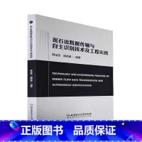 [正版] 泥石流数据传输与自主识别技术及工程实践韩运忠书店自然科学 北京理工大学出版社书籍