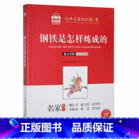 [正版]钢铁是怎样炼成的(智听版)奥斯特洛夫斯基 书小说书籍