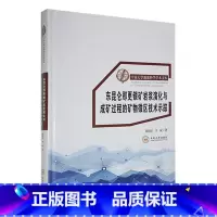 [正版]东昆仑那更银矿岩浆演化与成矿过程的矿物微区技术示踪陈晓东 书自然科学书籍