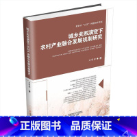 [正版]城乡关系演变下农村产业融合发展机制研究刘明辉 书经济书籍
