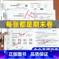 [推荐购买.全套]期末冲刺100分试卷+期末知识总结 三年级下 [正版]期末冲刺100分二年级下册试卷测试卷全套 人教版