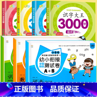 [全套7册]学前测试卷+识字大王3000字 [正版]幼小衔接测试卷学前班试卷全套一日一练数学专项综合练习题入学准备大练习