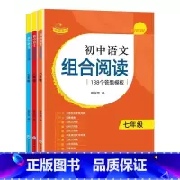 [全3册]初中语文组合阅读 初中通用 [正版]2023版赞读初中语文阅读组合训练138个阅读理解答题模板公式法技巧课外阅