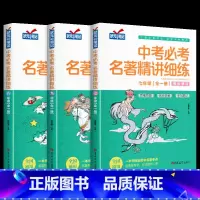 [全3册]中考必考名著精讲细练 初中通用 [正版]中考必考名著导读考点精讲细练初中名著导读七八九年级考点精练一点通语文中