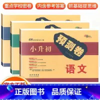 [3本套]小升初预测卷 语数英 小学升初中 [正版]小升初试卷小考试卷小学毕业升学准备 语文数学英语名校小学六年级语文总