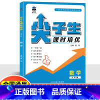 数学 九年级/初中三年级 [正版]奥数王尖子生课时培优2024新版拔尖培优训练数学拔高训练练习册初中九年级全国通用初三教