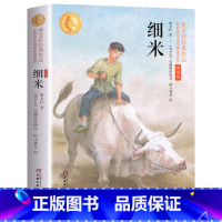 细米(插图版) [正版]曹文轩经典作品全套5册草房子曹文轩五六年级上四年级下册原著青铜葵花完整版细米根鸟小学生课外书阅读