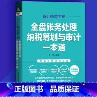 [正版]会计精英手册:全盘账务处理纳税筹划与审计一本通企业会计财务报表编制出纳实务做账财税内部审计书籍通俗易懂实操案例