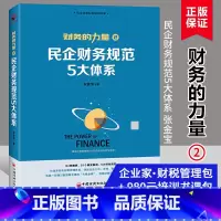 [正版]民企财务规范5大体系 张金宝著 民企老板财税规划系列财务的力量2 轻松了解掌握民企财务规范 增强财务风险意识中