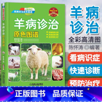 [正版]羊病诊治原色图谱 诊疗与处方手册 养羊与羊病防治技术 羊病快速诊治指南养 羊疾病预防诊断教程书 羊养殖大全书