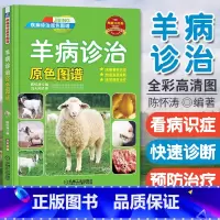 [正版]羊病诊治原色图谱 诊疗与处方手册 养羊与羊病防治技术 羊病快速诊治指南养 羊疾病预防诊断教程书 羊养殖大全书