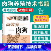 [正版]高效养肉狗 养狗书籍 养狗技术大全书籍 肉狗养殖教程技术书 肉狗场的建设选址 肉狗的饲养管理 肉狗疾病防治 肉