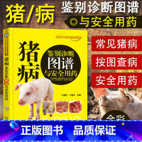 [正版]猪病鉴别诊断图谱与安全用药 养猪技术大全书籍 兽医畜牧 猪病诊断与防治一本通 科学配方猪病安全用药 养猪书籍