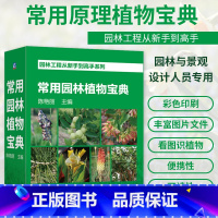 [正版]园林工程从新手到高手——常用园林植物宝典 常见植物图片 乔木灌木草花卉藤本植物 水生植物和竹类植物介绍 园林景