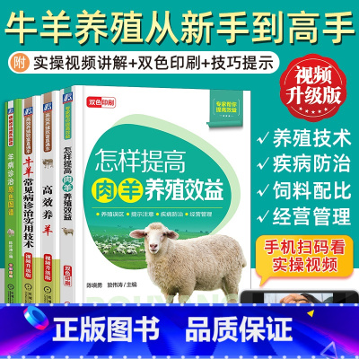 [正版]4册 高效养牛羊技术书籍大全牛羊羊病诊治预防实用手册 养殖牛羊教程场地消毒防疫饲料全书职业兽医兽药科学技术一本