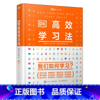 [正版]DK高效学习法 培养学习习惯 学习高手技巧策略考试复习 科学学习考试脑 励志教育图书籍