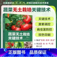 [正版]赠视频教学蔬菜无土栽培关键技术 蔬菜病虫害诊断图谱防治 无土高效生产 系统介绍''良境+良种+良法''的蔬菜无