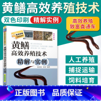 [正版]黄鳝高效养殖技术精解与实例 黄鳝高效养殖技术精解与实例 科学养殖书籍 黄鳝养殖书 水产养殖入门书籍
