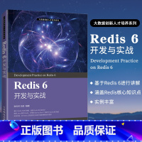 [正版]Redis 6 开发与实战