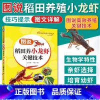 [正版]图说稻田养小龙虾关键技术 小龙虾高效养殖技术书籍龙虾养殖场虾塘池塘规划建设设计书疾病防治技术养虾书籍人工养殖饲