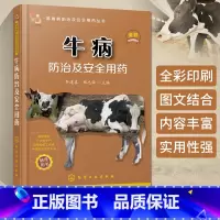 [正版]牛病防治及安全用药 高效养牛技术书 牛病的免疫预防全书 疾病诊断治疗方案合理科学用药 牛病防治实用手册 养牛技