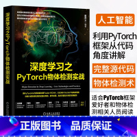 [正版]深度学习之PyTorch物体检测实战 董洪义物体检测概念发展实现用PyTorch从代码角度详解FasterRC