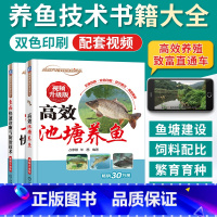 [正版]高效池塘养鱼 鱼病快速诊断与防治科学养鱼技术大全淡水鱼类养殖水产养殖生态养鱼技术教程书流行鱼病防治养殖技术书籍