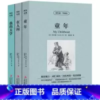 [正版]中英双语高尔基三部曲童年在人间我的大学书原著中英文对照版双语英汉互译英语阅读书籍英文读物小说初中高中课外阅读书