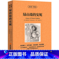 [正版]中英双语绿山墙的安妮书中英文双语名著读物英汉对照互译英语小说 蒙哥马利原著 读名著学英语高中生初中生课外阅读书