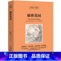 [正版]中英双语秘密花园书中英文双语名著读物英汉对照互译英语小说伯内特原著 读名著学英语 高中生初中生课外阅读书籍zy