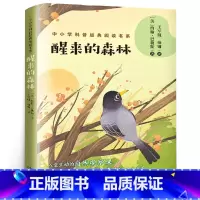 [正版]醒来的森林 约翰•巴勒斯著 八堂生动的自然观察课 现代文学散文集 中小学生课外阅读自然科普故事书 长江文艺出版