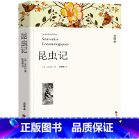 [正版]昆虫记法布尔书原版原著完整版陈筱卿译三四五年级小学生课外阅读书籍美绘版八年级上册初中生必读青少年版中国文联出版