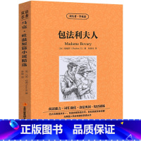 [正版]中英双语包法利夫人书中英文双语名著读物英汉对照互译小说 福楼拜原著 读名著学英语 初中生高中生课外阅读书籍zy