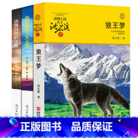 [正版]六年级小学生课外阅读书籍 狼王梦 汤姆叔叔的小屋 汤姆索亚历险记寄小读者 沈石溪冰心著 10-15岁五六年级必