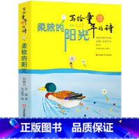 [正版]柔软的阳光书 金波著 三年级上册小学生必读课外书阅读书籍 写给童年的诗 少儿读物 江苏凤凰少年儿童出版社