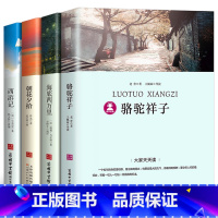 [正版]学生版:七年级课外必读书4册 骆驼祥子老舍/海底两万里/朝花夕拾鲁迅/西游记 原版原著 初中生初一人教版书籍7