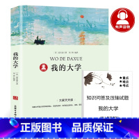 [正版]39.8元任选4本我的大学 高尔基 青少年儿童文学书籍图书世界外国经典名著小说中小学生课外书籍 商务印书馆dj