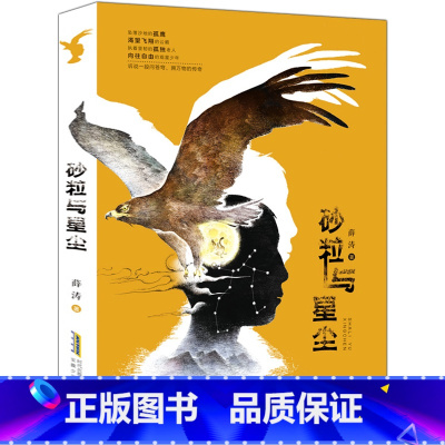 [正版]砂粒与星尘 薛涛著 儿童文学小学生三四五六年级课外阅读书籍 青少年关于亲情父爱人与自然的小说 安徽少年儿童出版