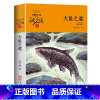 [正版]大鱼之道 沈石溪动物小说单本儿童文学 小学生三四五六年级必读课外书阅读书籍 浙江少年儿童出版社