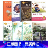 全套8册 [正版]全8册人教版六年级必读课外书同步阅读你是我的妹灯光非法智慧桥盼青山不老红闪电从百草园到三味书屋张之路人