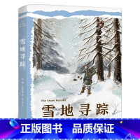 雪地寻踪 [正版]雪地寻踪 维·比安基/著 2022祖庆说百班千人暑假共读书目四年级小学生课外书阅读书籍 云南美术出版社