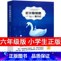 [正版]尼尔斯骑鹅旅行记书石琴娥原著完整版 班主任快乐读书吧六年级下册小学生青少版课外阅读必读书籍尼尔斯企鹅历险记ys