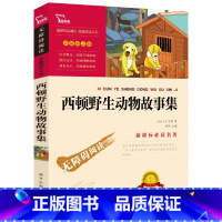 [正版]西顿动物故事集 西顿著 三四五六年级小学生课外阅读必读书籍全集 无障碍阅读必读名著 南方出版社智慧熊zx